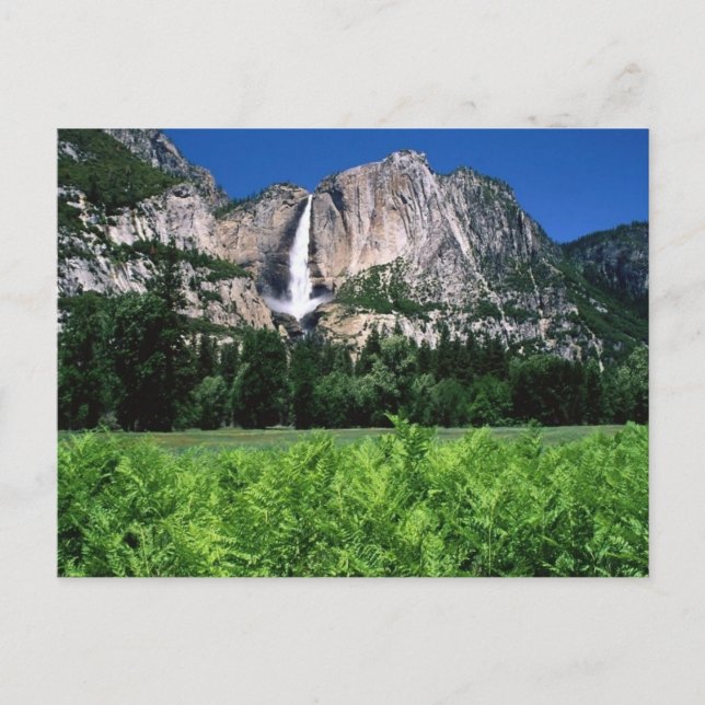 Yosemite National Park, Ca Postcard (Front)
