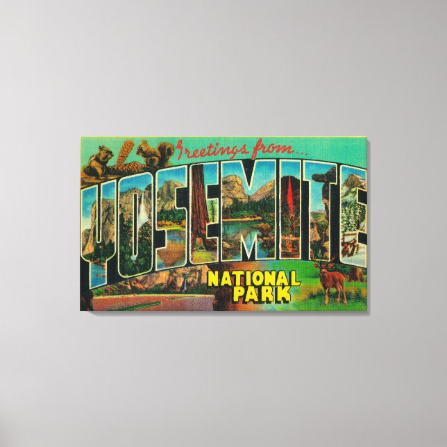 Yosemite National Park, California - Large Lette Canvas Print (Front)