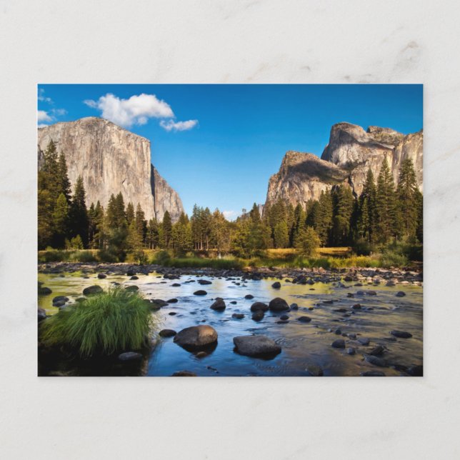 Yosemite National Park, California Postcard (Front)