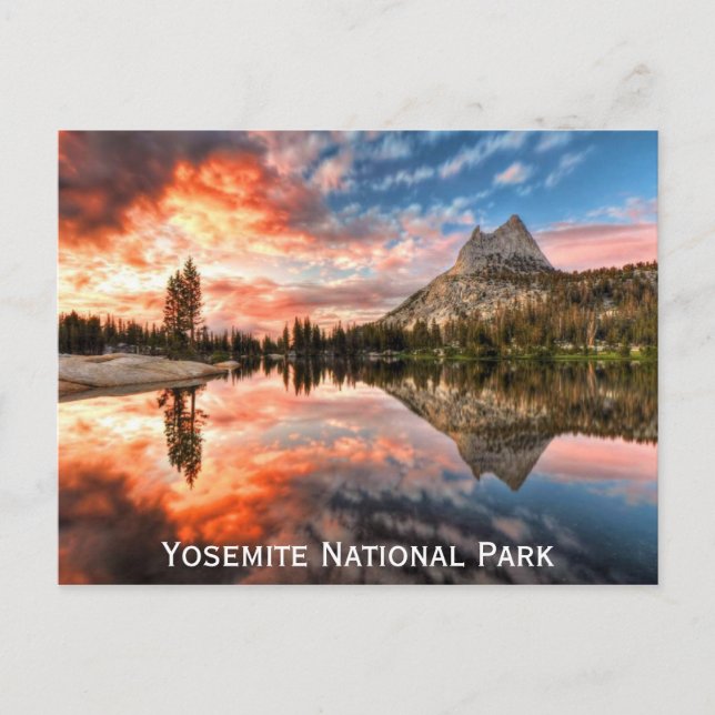 Yosemite National Park California Travel Photo Postcard (Front)