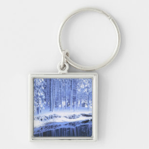 YOSEMITE NATIONAL PARK, CALIFORNIA. USA. Fresh Keychain