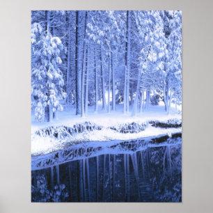 YOSEMITE NATIONAL PARK, CALIFORNIA. USA. Fresh Poster