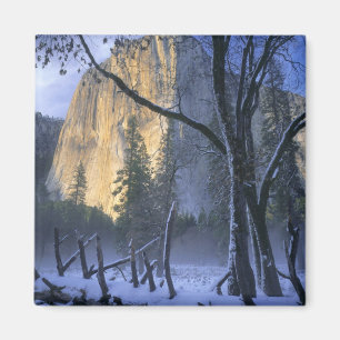 YOSEMITE NATIONAL PARK, CALIFORNIA. USA. Light Magnet