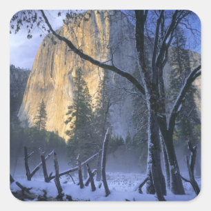 YOSEMITE NATIONAL PARK, CALIFORNIA. USA. Light Square Sticker