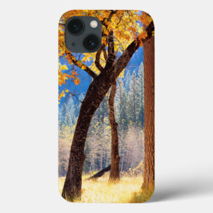 Yosemite National Park iPhone 13 Case