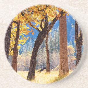 Yosemite National Park Coaster