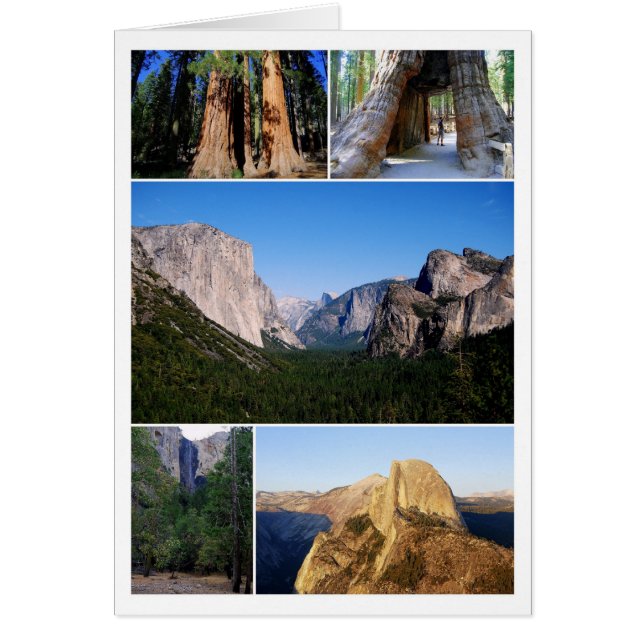 Yosemite National Park Collage Card (Front)