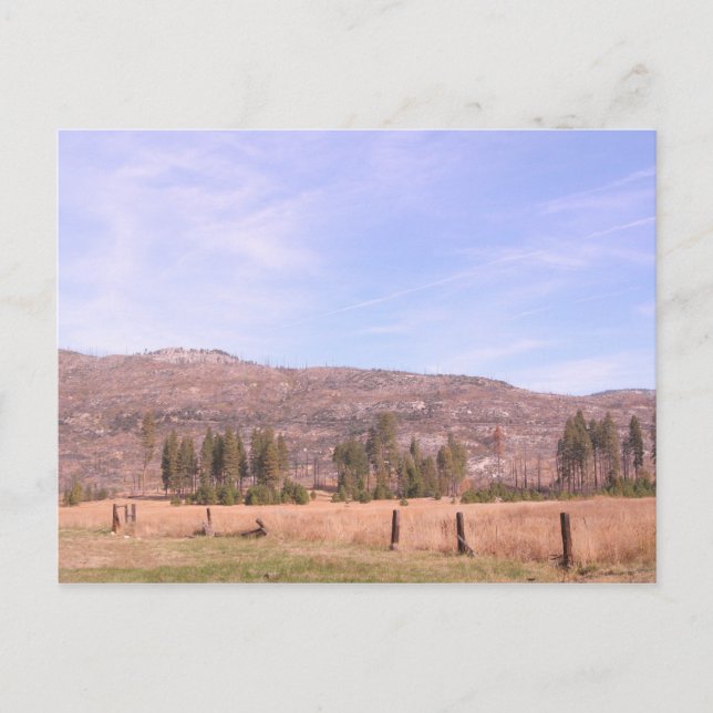 Yosemite National Park in California PostCard (Front)