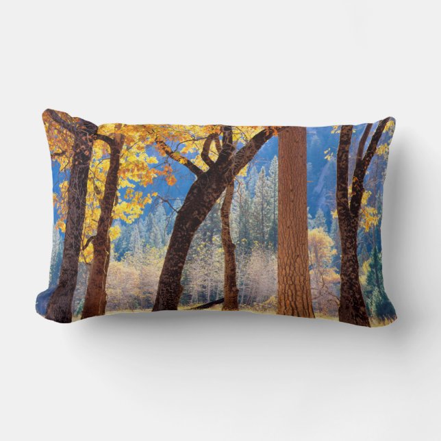 Yosemite National Park Lumbar Pillow (Front)