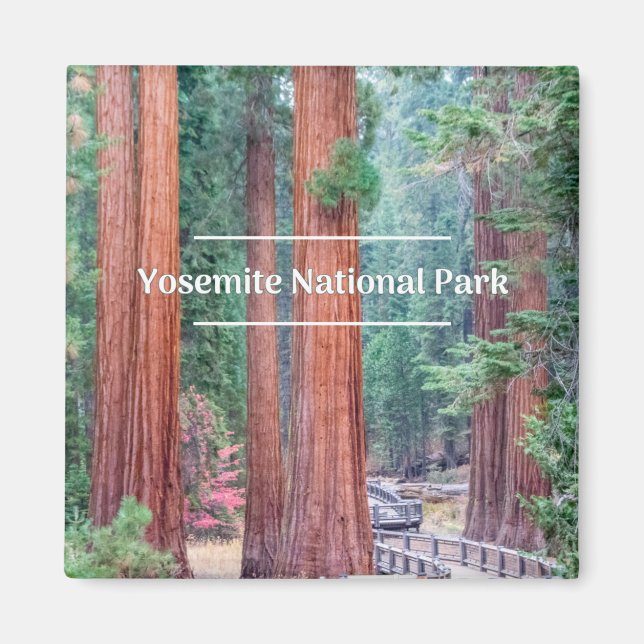 Yosemite National Park Magnet (Front)