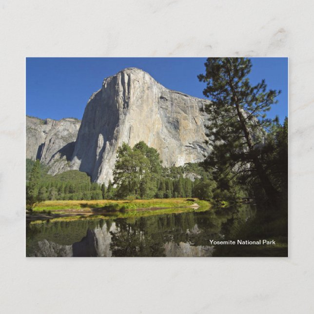 Yosemite National Park Postcard (Front)