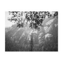 Yosemite National Park