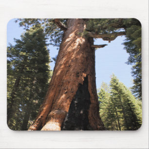 Yosemite National Park sequoia photo mousepad