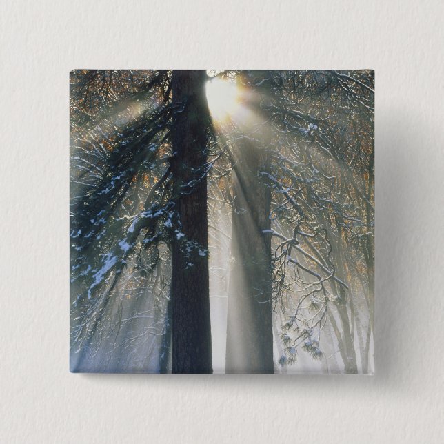 Yosemite National Park - Sun rays streaming 2 Inch Square Button (Front)