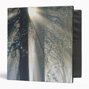 Yosemite National Park - Sun rays streaming Binder