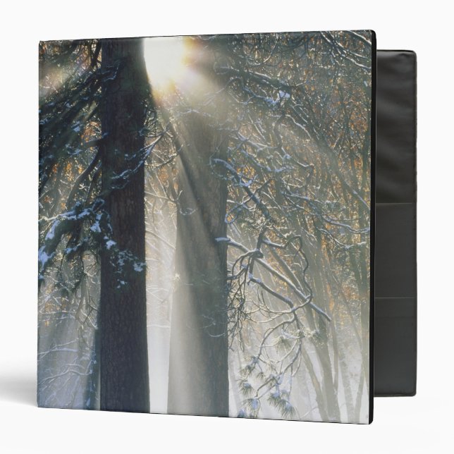 Yosemite National Park - Sun rays streaming Binder (Front/Inside)