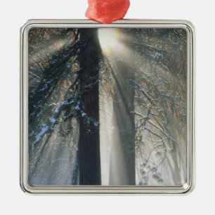 Yosemite National Park - Sun rays streaming Metal Ornament