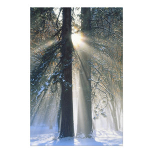 Yosemite National Park - Sun rays streaming Photo Print