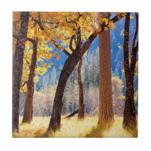 Yosemite National Park Tile