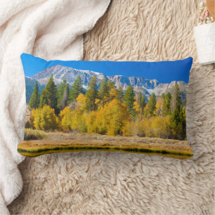 Yosemite National Park's Tioga Pass Lumbar Pillow