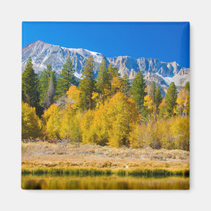 Yosemite National Park's Tioga Pass Magnet