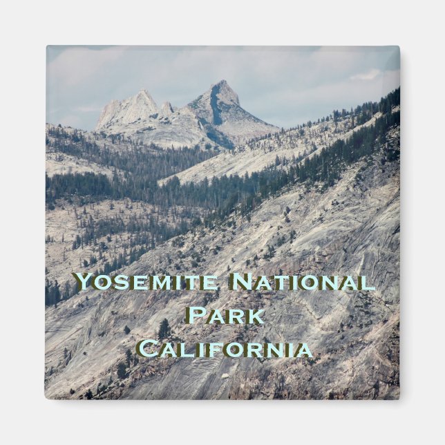 Yosemite park, California Magnet (Front)