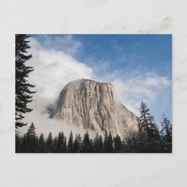 Yosemite Postcard (Front)