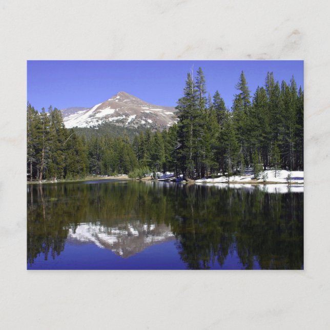 Yosemite Postcard (Front)