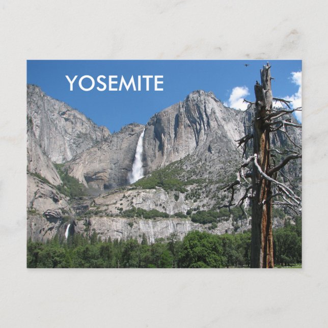 Yosemite Postcard! Postcard (Front)