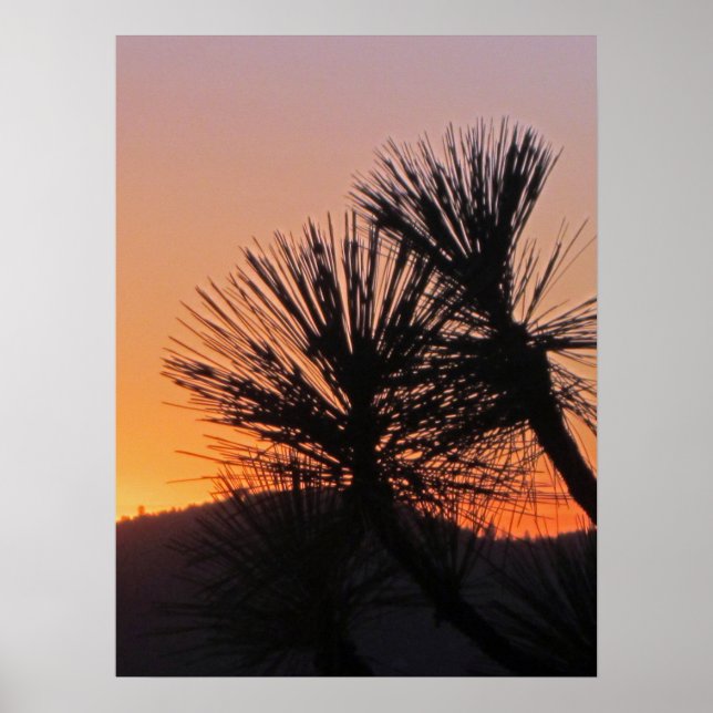 Yosemite Sunset Poster (Front)