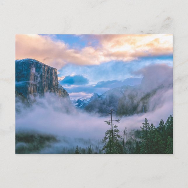 Yosemite Tunnel View with Fog Postcard (Front)
