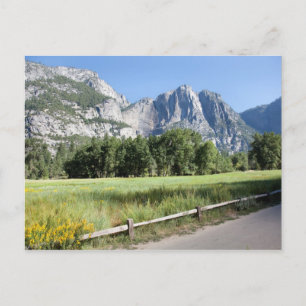 Yosemite Valley Meadow, El Capitan, Staycation Postcard
