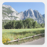 Yosemite Valley Meadow, El Capitan, Staycation