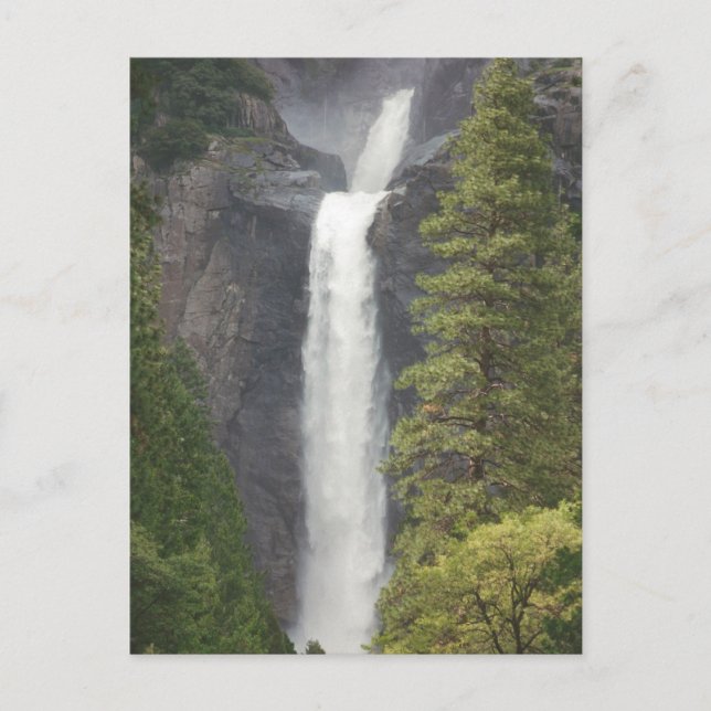 Yosemite Waterfall Postcard (Front)