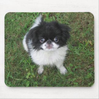 Yoshi Mouse Pad
