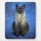 Yoshi the Siamese Kitty Cat Kitten Mousepad