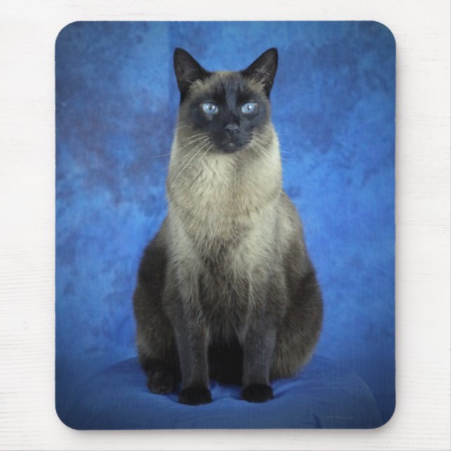 Yoshi the Siamese Kitty Cat Kitten Mousepad (Front)