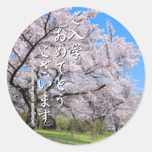 Yoshino Cherry ラウンドシール Classic Round Sticker