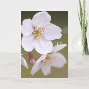Yoshino Cherry: Folded cards