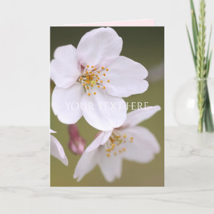 Yoshino Cherry: Folded cards