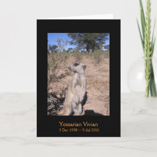 Yossarian - carte de légendes