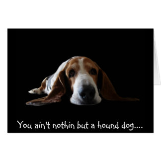 You ain't nothin but a hound dog