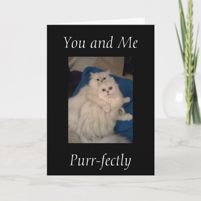 "YOU AND ME PURR-FECTLY" ANNIVERSARY CARD (Front)