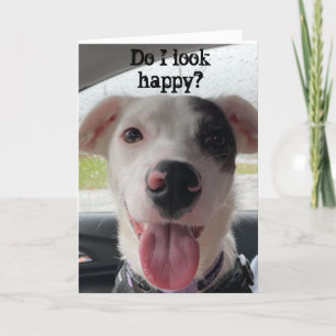 YOU ARE **70** MAKES ME HAPPY OF COURSE CARD