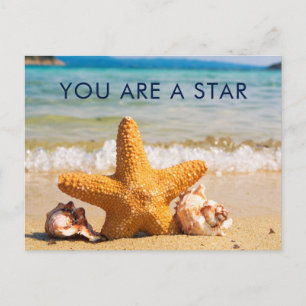 You are a Star Starfish and Seashells on the Beach Postcard