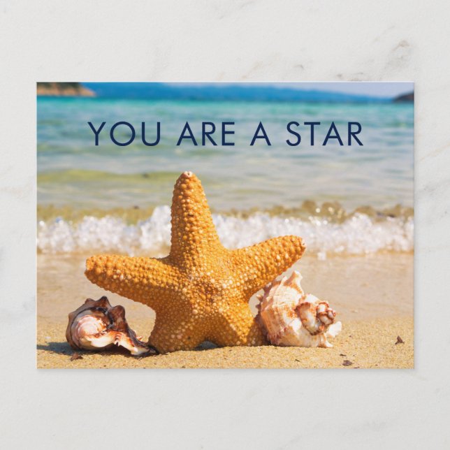 You are a Star Starfish and Seashells on the Beach Postcard (Front)