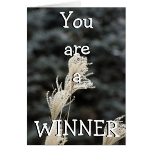 You are a  WINNER