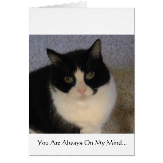 You Are Always On My Mind