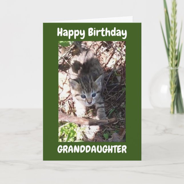 YOU ARE AMAZING **GRANDDAUGHTER** BIRTHDAY CARD (Front)