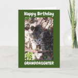 YOU ARE AMAZING **GRANDDAUGHTER** BIRTHDAY CARD<br><div class="desc">THANK YOU SO MUCH FOR STOPPING BY ONE OF MY EIGHT STORES!!!</div>